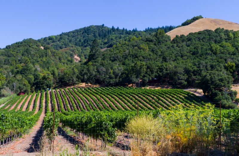 Best Shower Installation pros in Vine Grove, KY